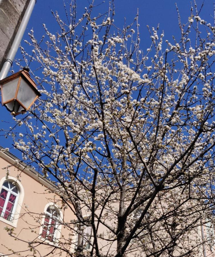 5 Chambres En Ville Clermont-Ferrand Exteriér fotografie